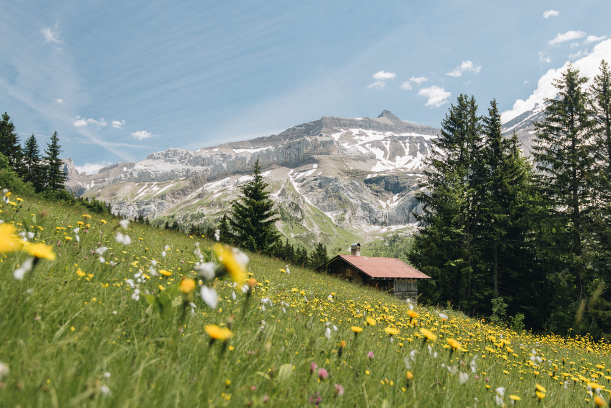 Randonnée estivale entre le Col du Pillon et les Diablerets.