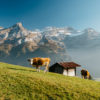Paysage d'automne dans la région des Diablerets.