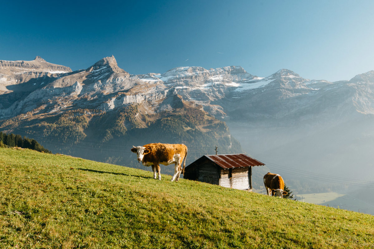 Paysage d'automne dans la région des Diablerets.