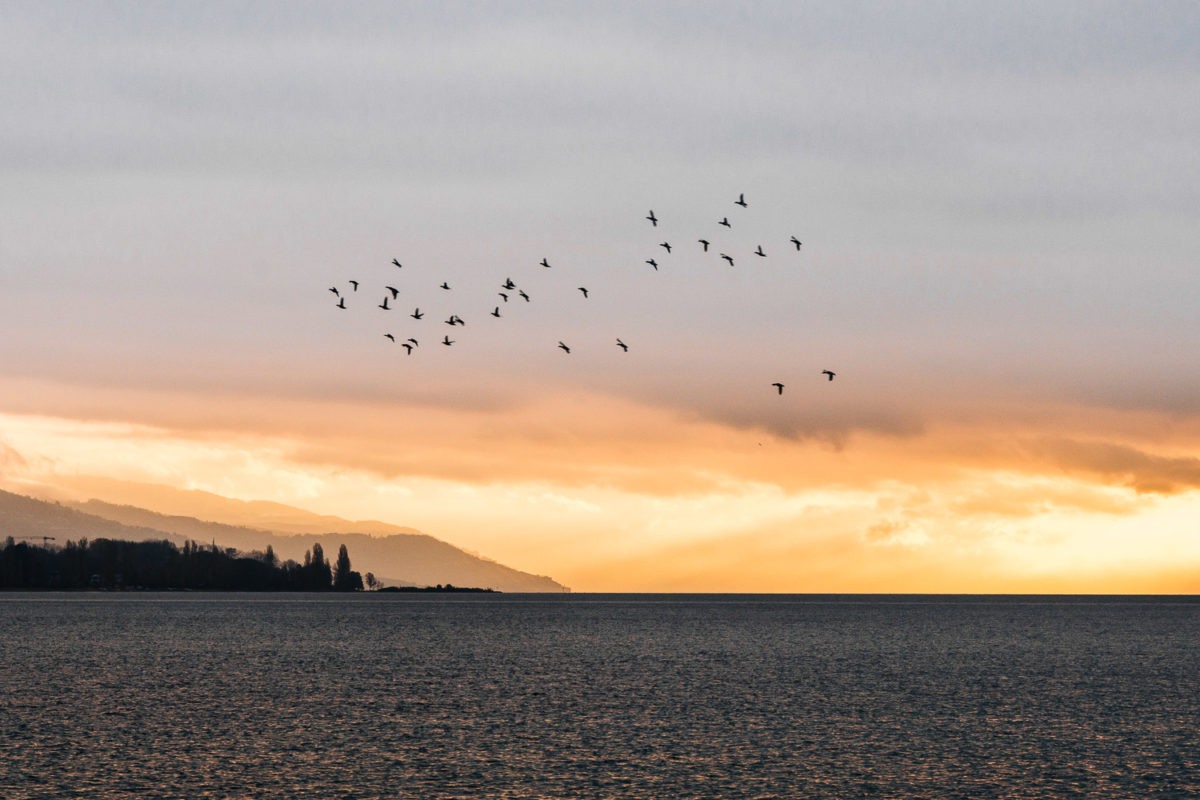 Lever de soleil et nuages en feu depuis Morges.