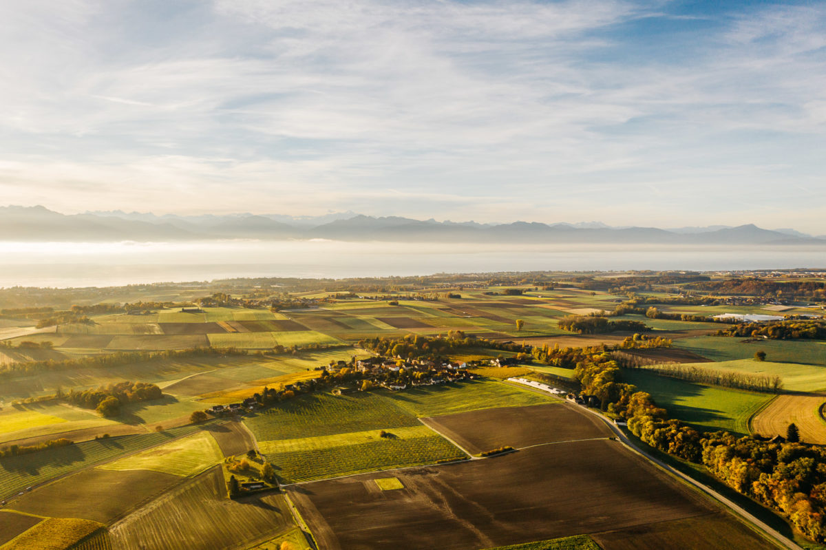 Début de journée d'automne sur Bussy-Chardonney et la région du Léman.